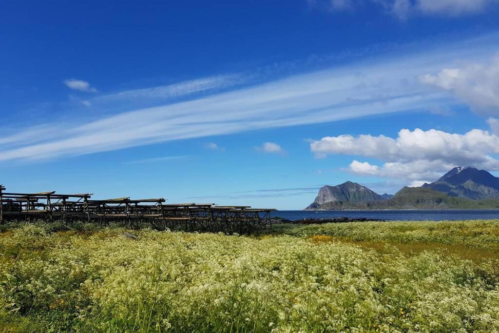 Lofoten- Enjoy The Nature-With A Beautiful Beach Napp المظهر الخارجي الصورة
